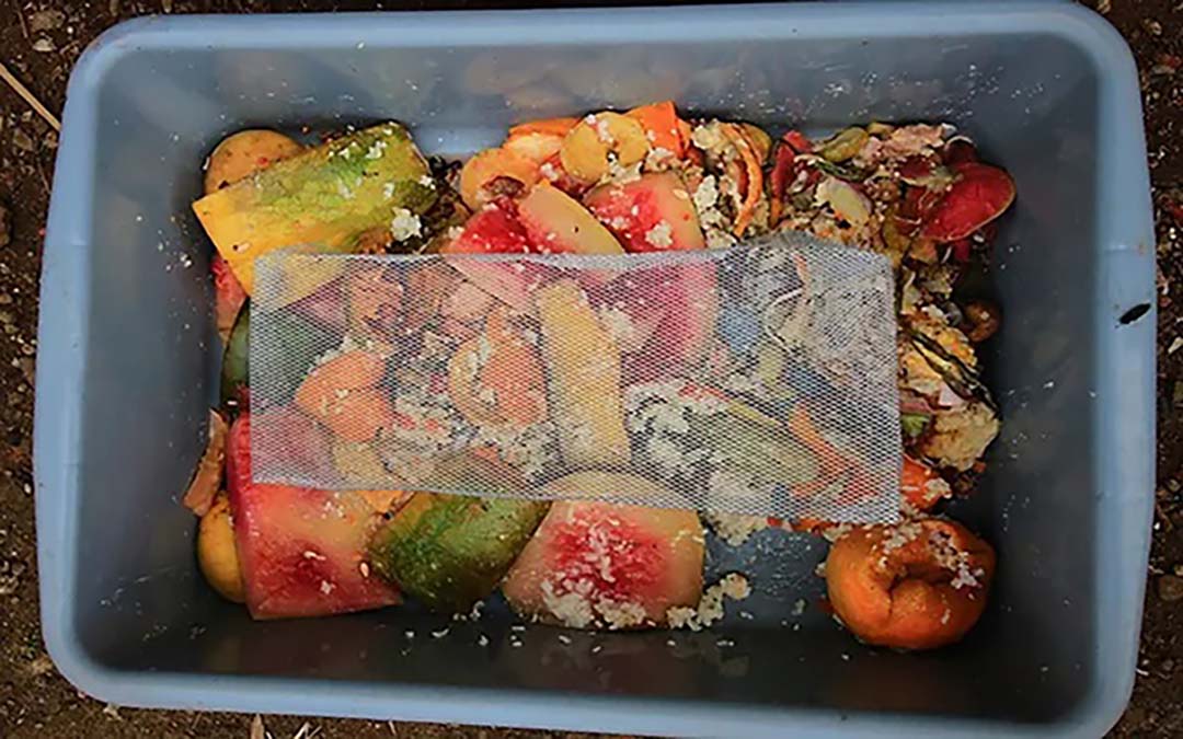 Pengolahan Sampah Organik